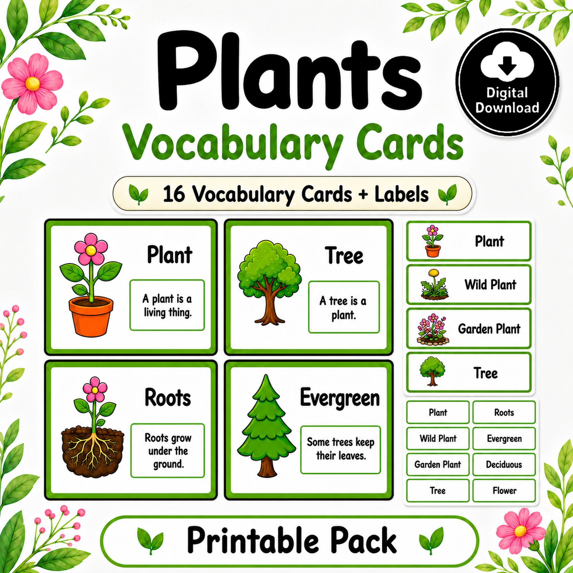 Plants: Year 1 Vocabulary Cards & Labels